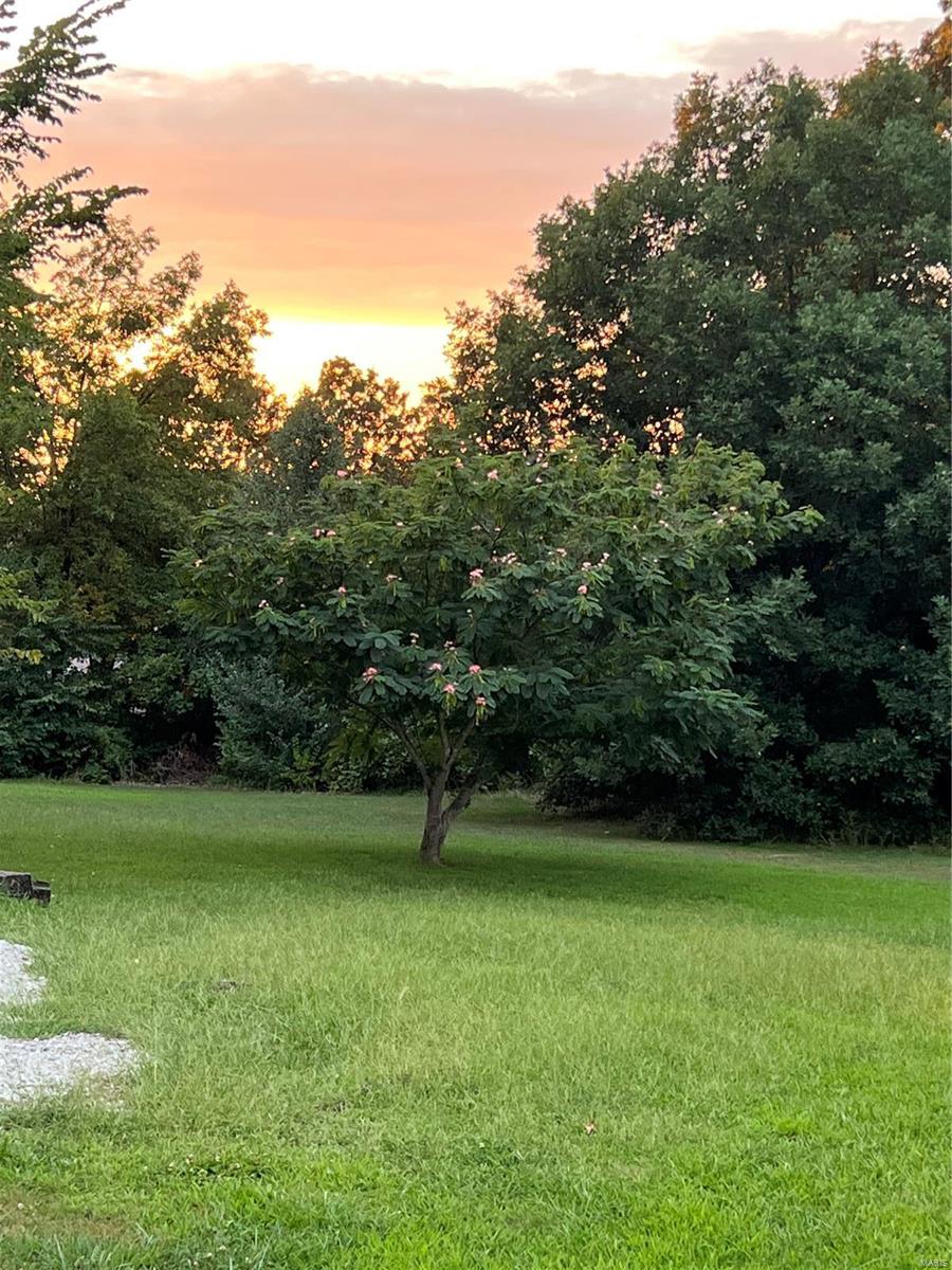 13981 Bobwhite Drive Plato, MO 65552 - Photo 2 of 24