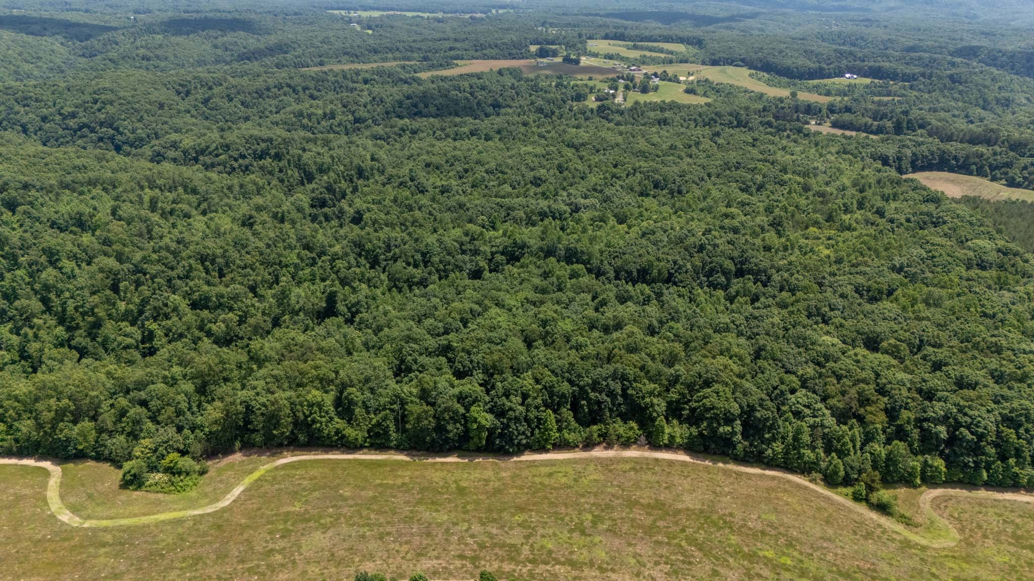3772 Pea Ridge Road Liberty, TN 37095 - Photo 37 of 52
