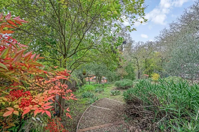 a view of backyard with potted plants and a wooden fence