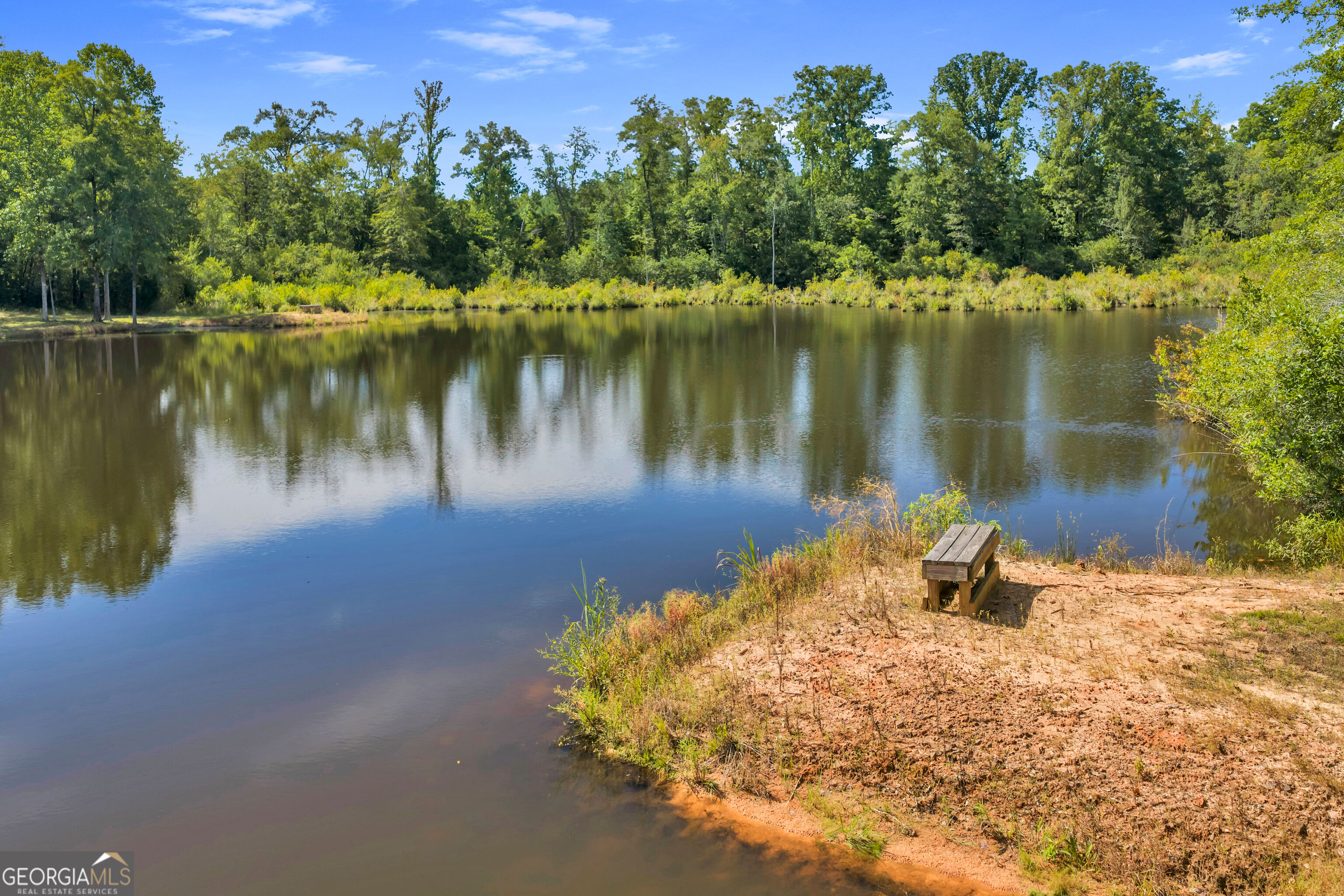 100 Bussey Place Road Morris, GA 39867 - Photo 91 of 174 Gallery Image 91