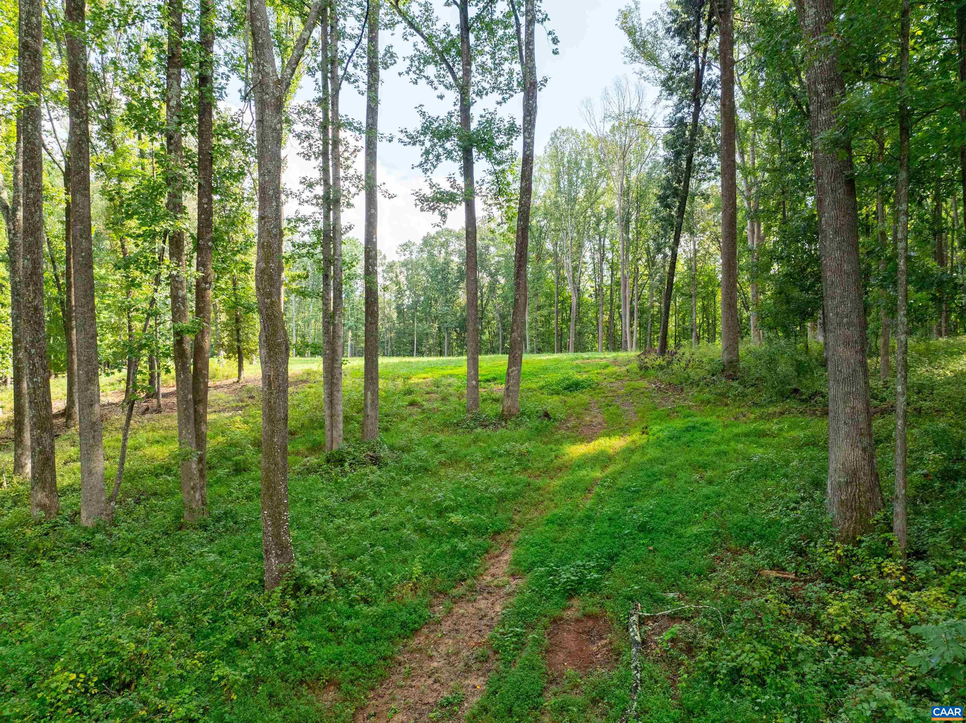 0 Dick Woods Road Charlottesville, VA 22903 - Photo 8 of 23 Gallery Image 8
