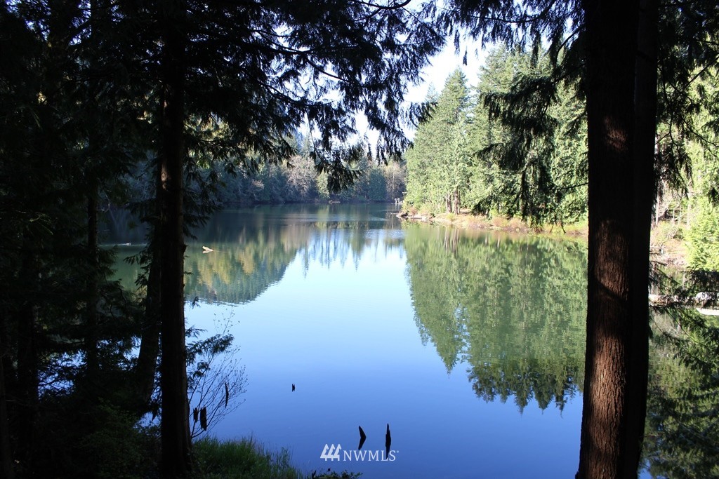 31822 Dotson Road Monroe, WA 98272 - Photo 13 of 20 Gallery Image 13