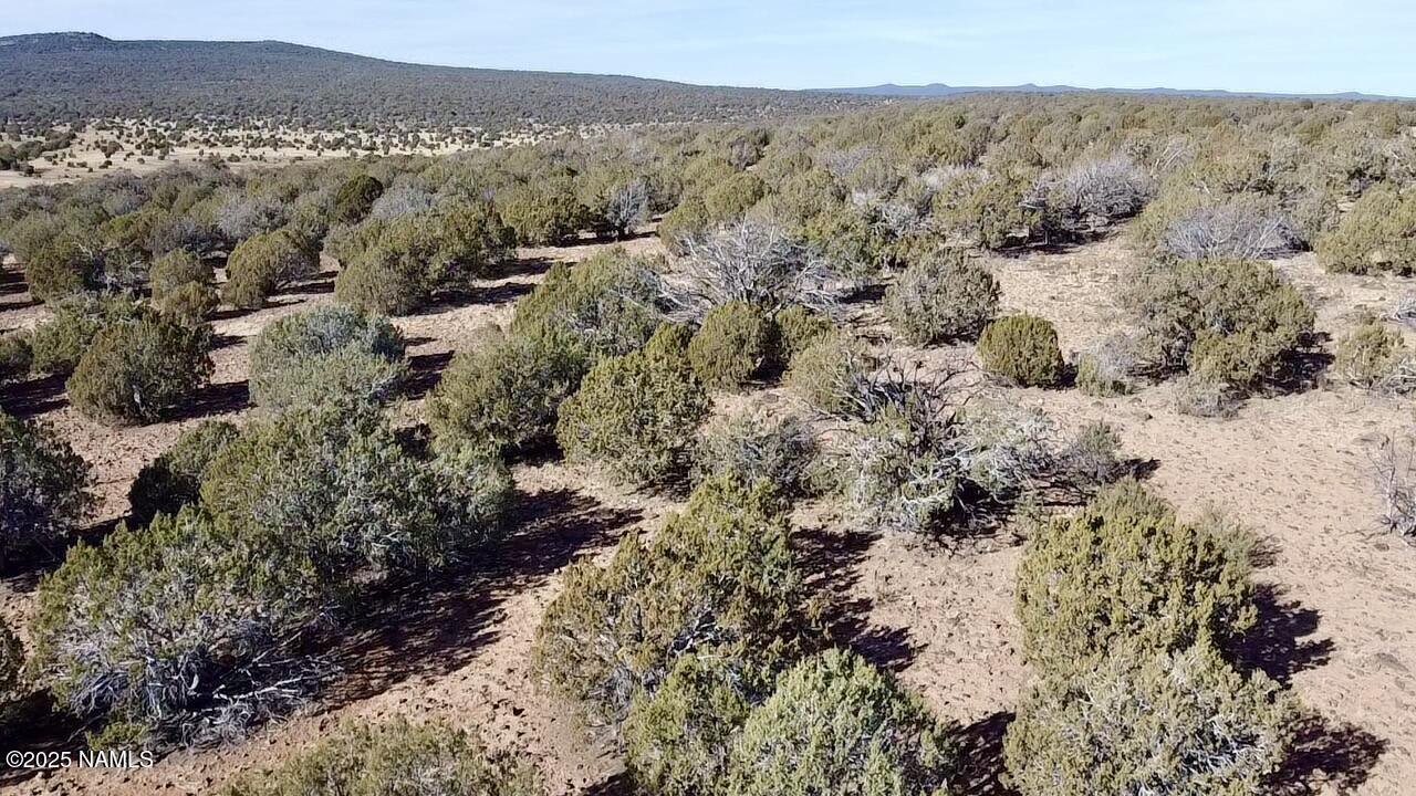 0 North Edwards Rnch Road Williams, AZ 86046 - Photo 4 of 14 2024-12-19-11-49-25-138