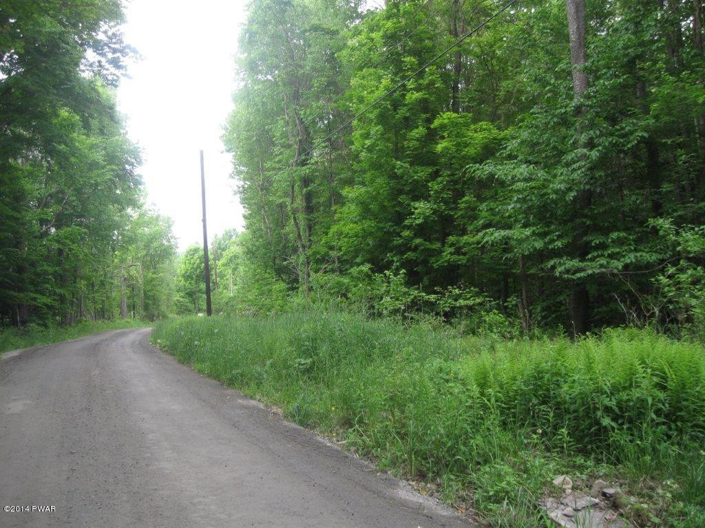 16 Hemlock Road Lake Ariel, PA 18436 - Photo 1 of 6 a view of a field of grass and trees