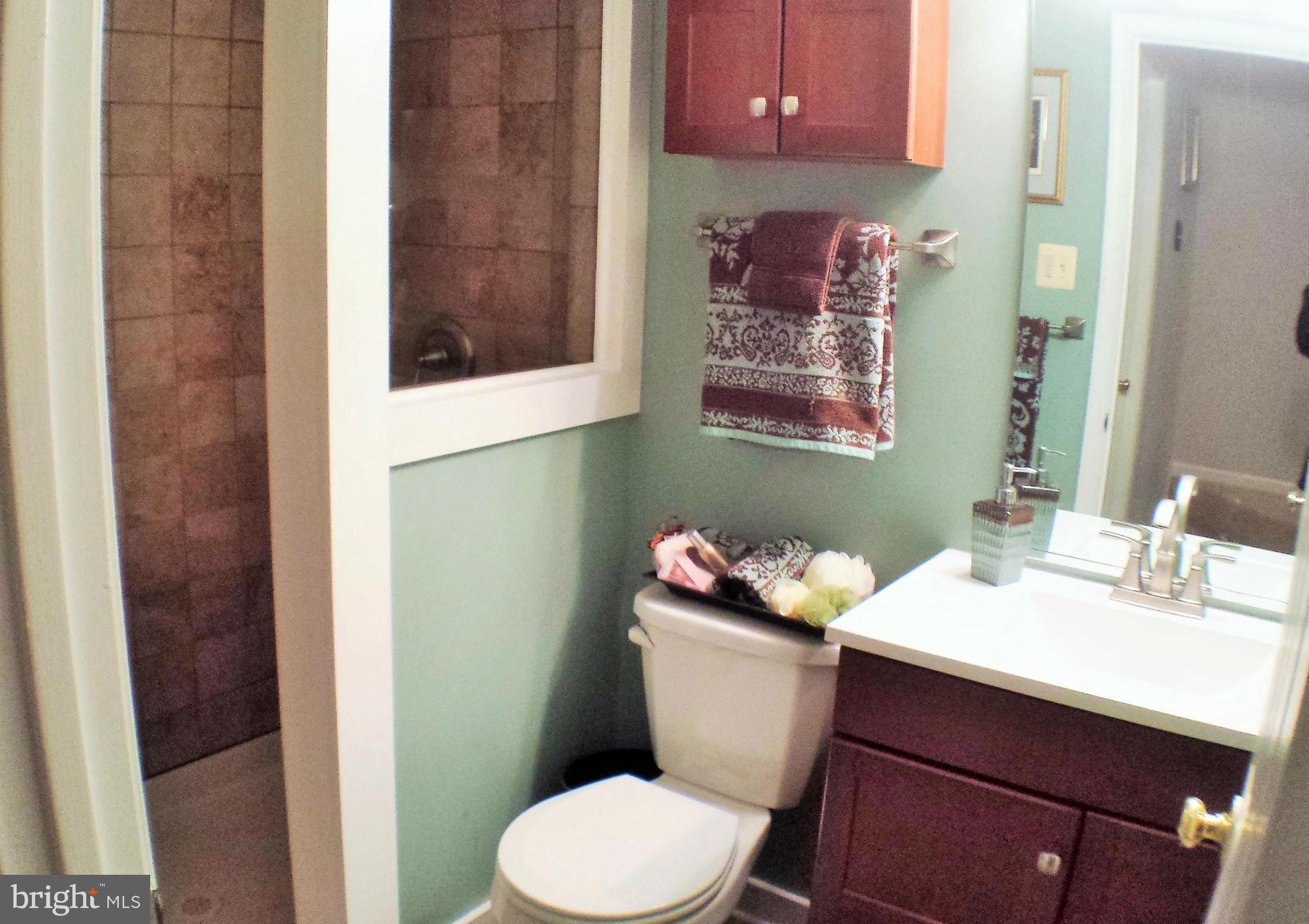 1139 Ingate Road Halethorpe, MD 21227 - Photo 17 of 25 Bath (Master)