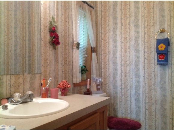 431 Pine River Road Effingham, NH 03882 - Photo 10 of 31 Gallery Image 10