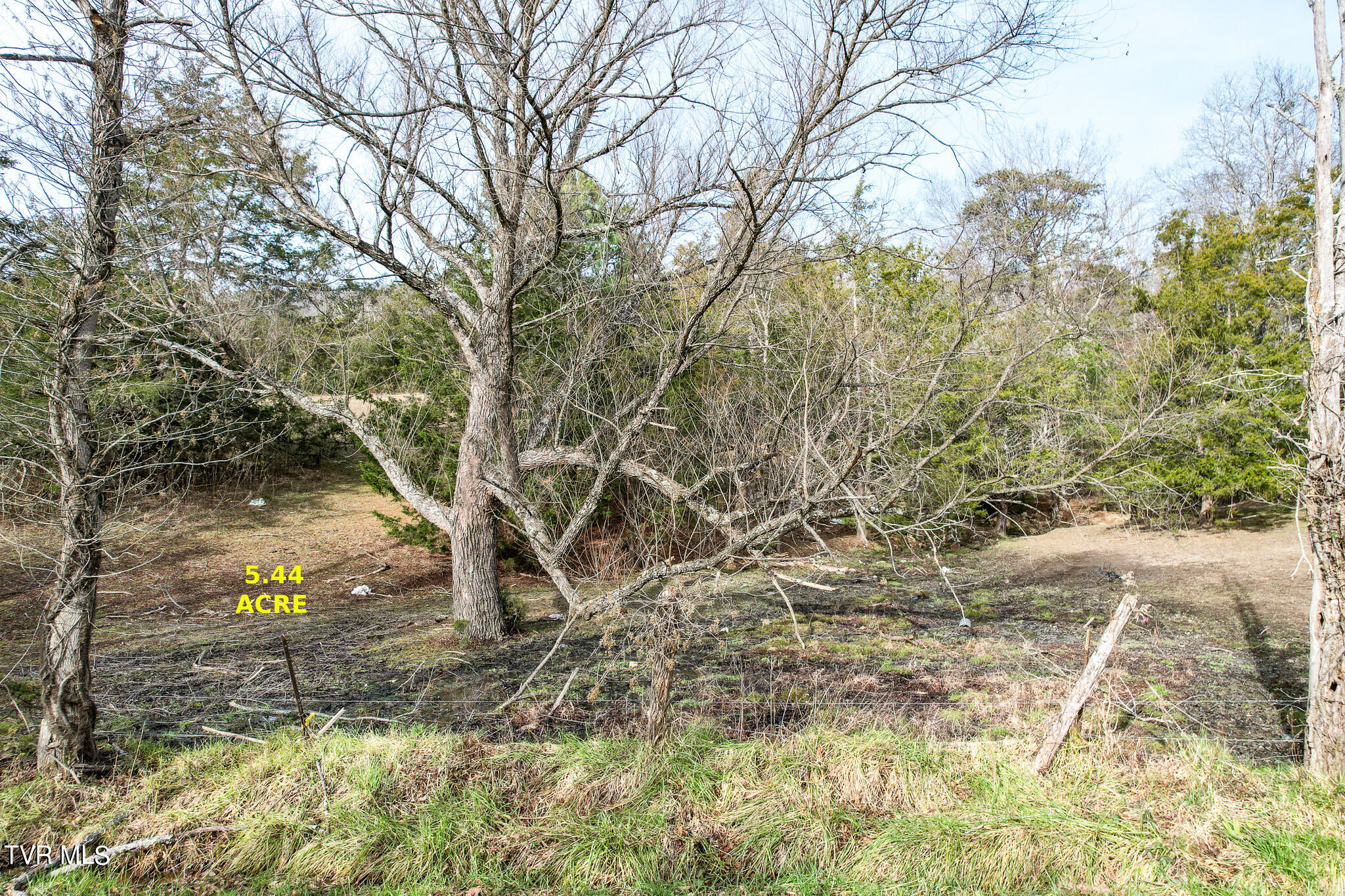 0 Shakerag Road Greeneville, TN 37743 - Photo 1 of 14 DJI_0827-Edit