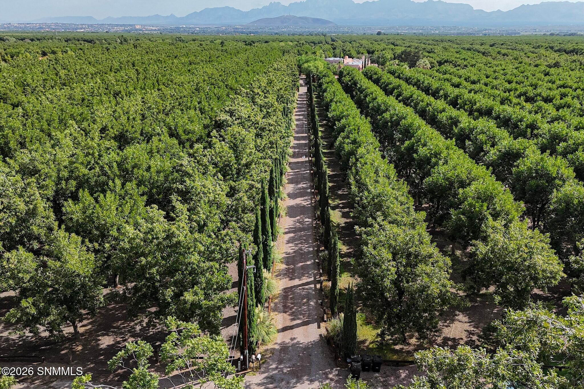 4601-2 Snow Road Las Cruces, NM 88005 - Photo 1 of 12 3dcasas-4601-snow-rd-021