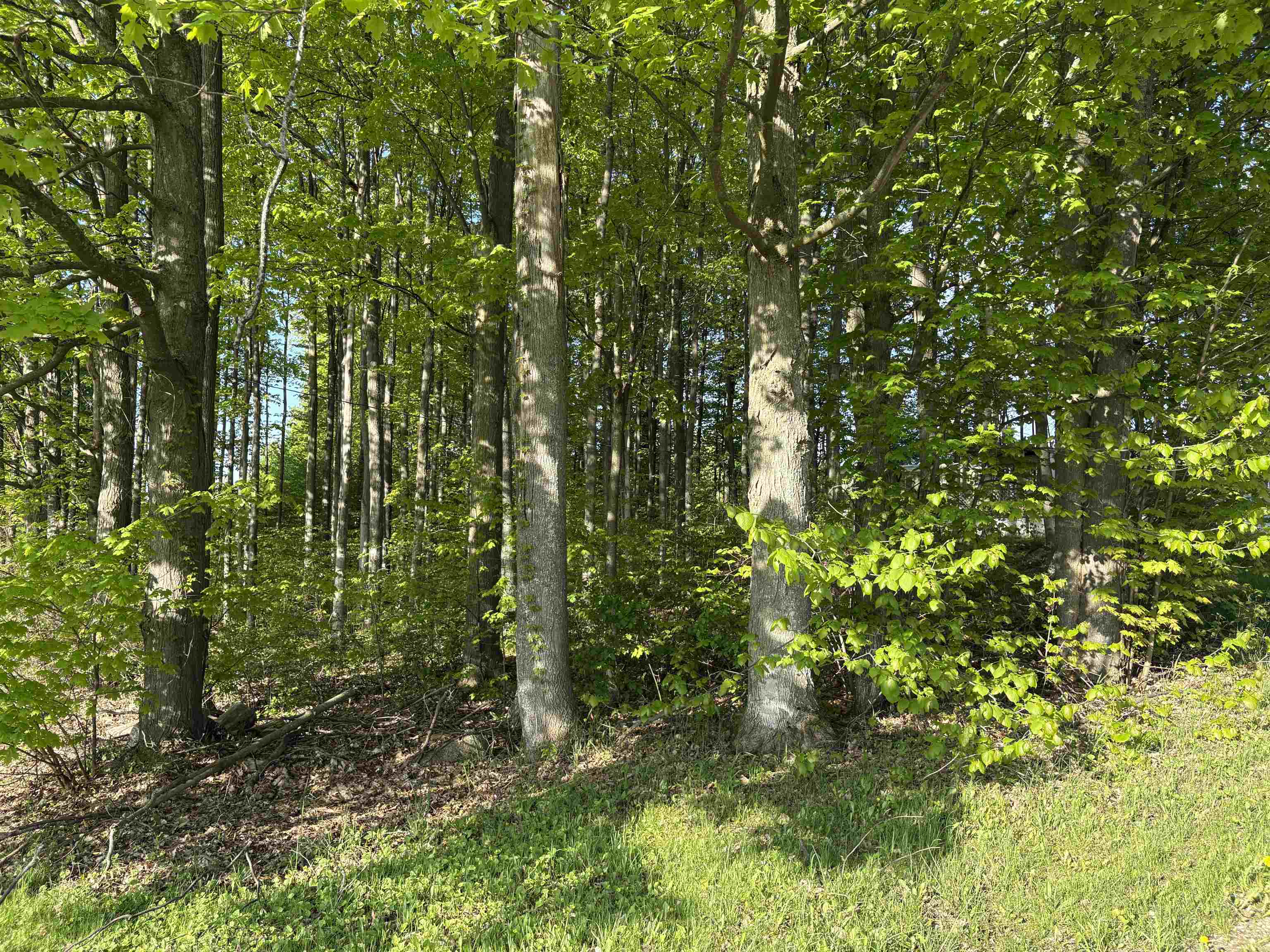 241 North Three Mile Road Traverse City, MI 49696 - Photo 18 of 21 Gallery Image 18