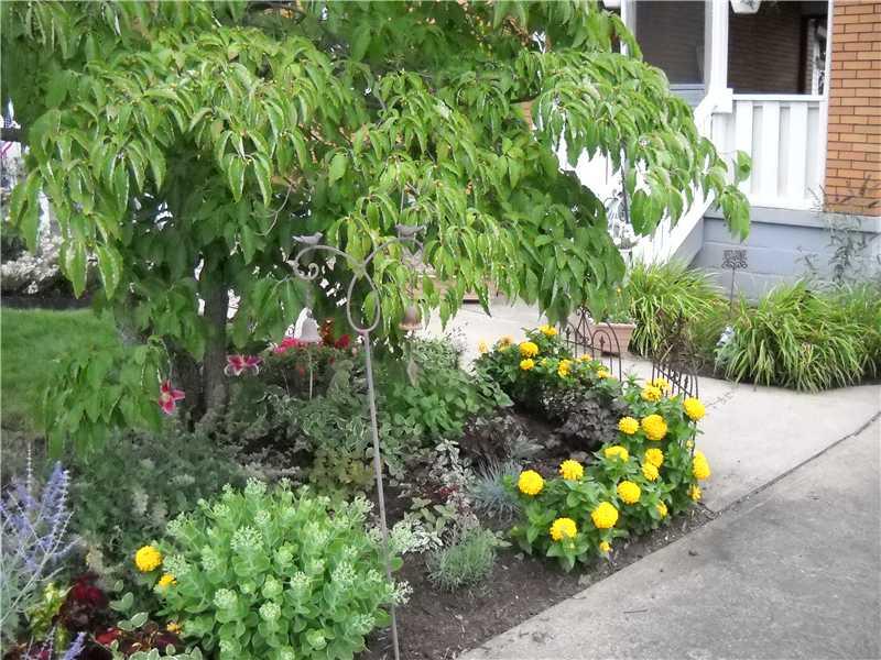 72 Herbst Road Coraopolis, PA 15108 - Photo 3 of 24 Exterior Front.