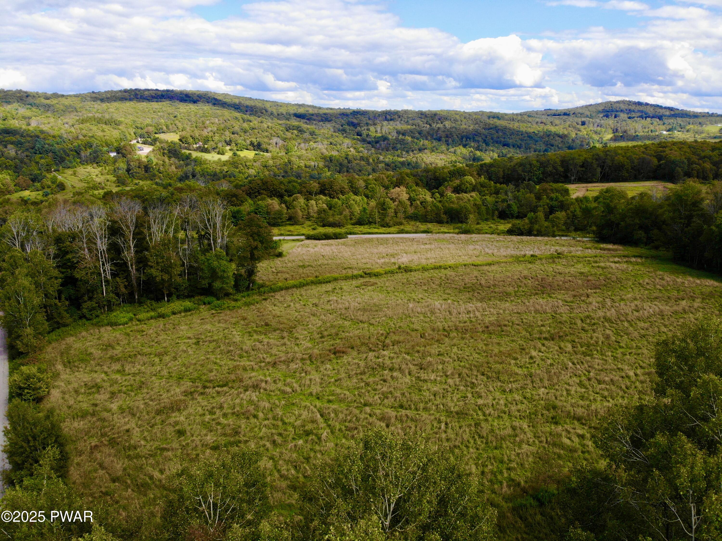 Fork Mountain Road Equinunk, PA 18417 - Photo 5 of 10