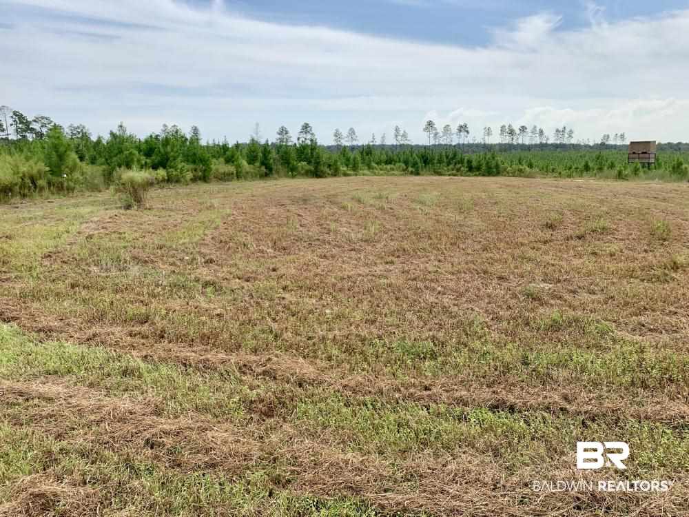 0 Country Road Mobile, AL 36608 - Photo 3 of 27