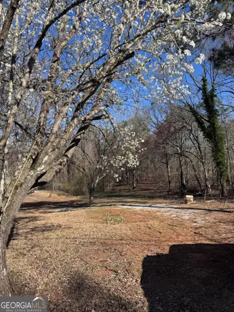 $121,000 | 884 Dolly Nixon Road, Senoia, GA 30276