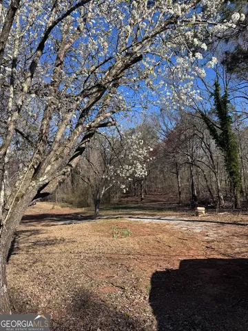 $121,000 | 884 Dolly Nixon Road, Senoia, GA 30276