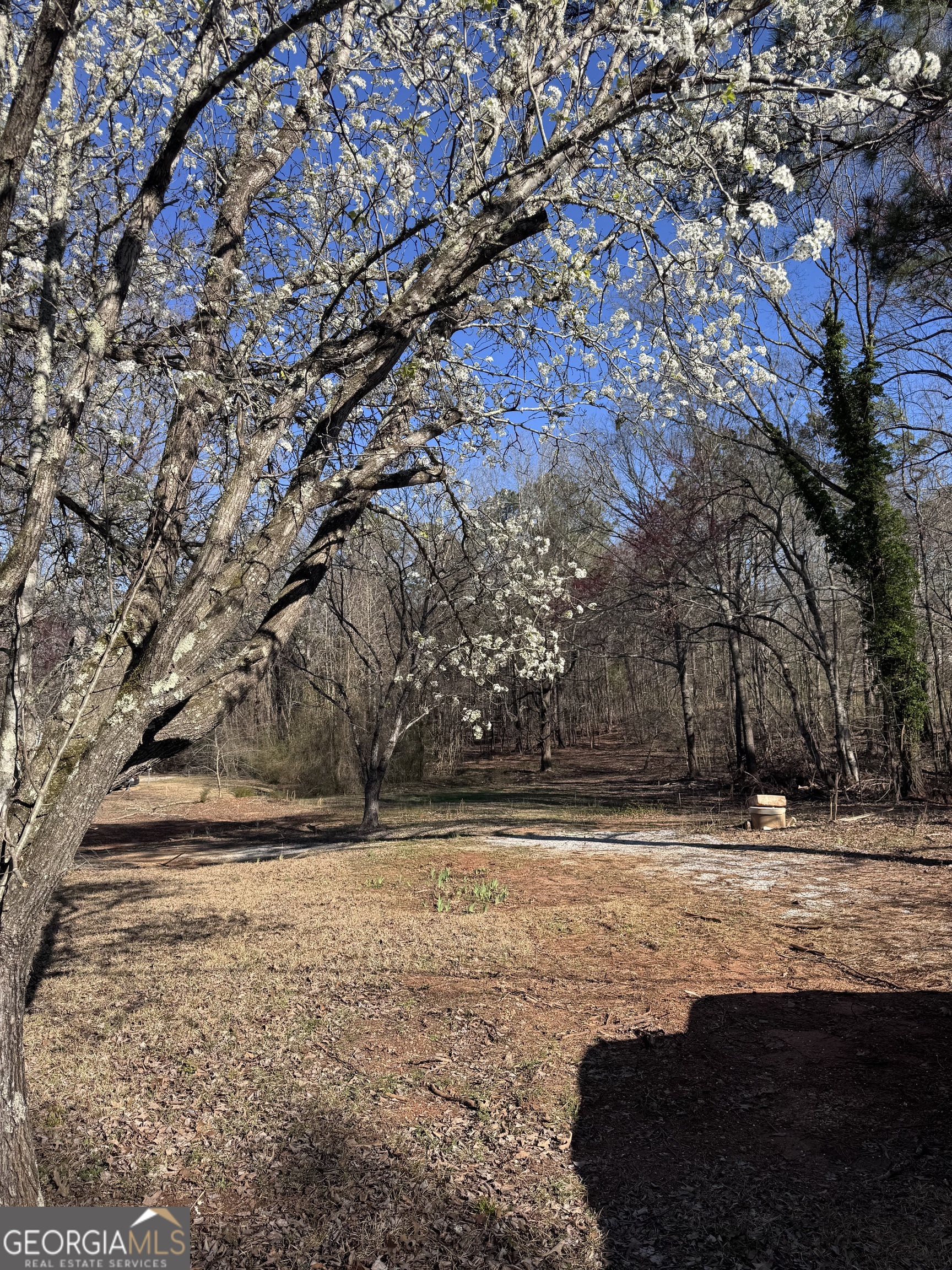 884 Dolly Nixon Road Senoia, GA 30276 - Photo 1 of 1