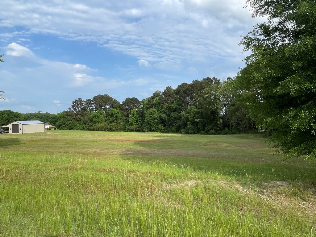 219 McCord Road Dothan, AL 36301 - Photo 2 of 5