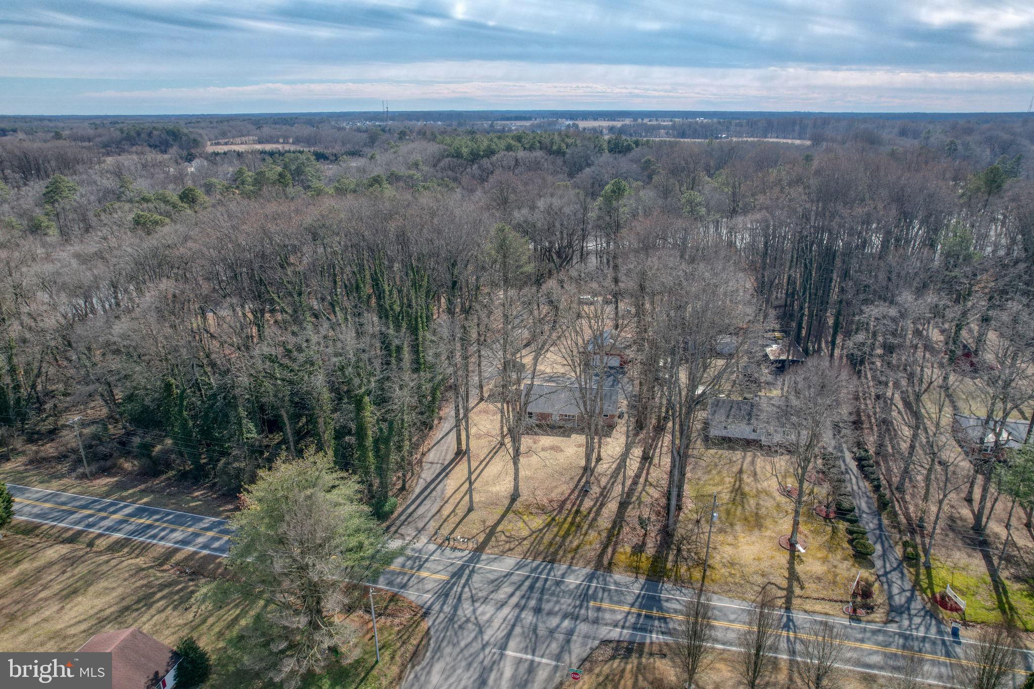 3250 Andrews Lake Road Felton, DE 19943 - Photo 39 of 45 a view of outdoor space and mountain view