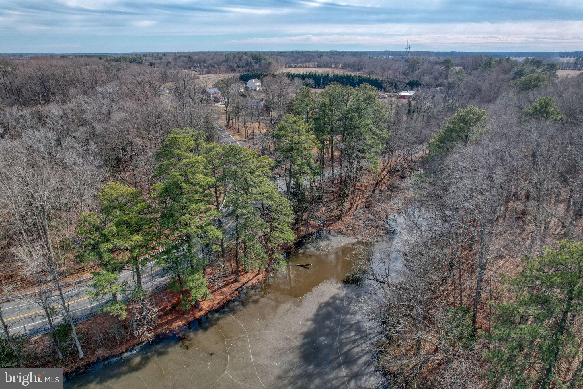 3250 Andrews Lake Road Felton, DE 19943 - Photo 41 of 45 a view of a yard with an outdoor space