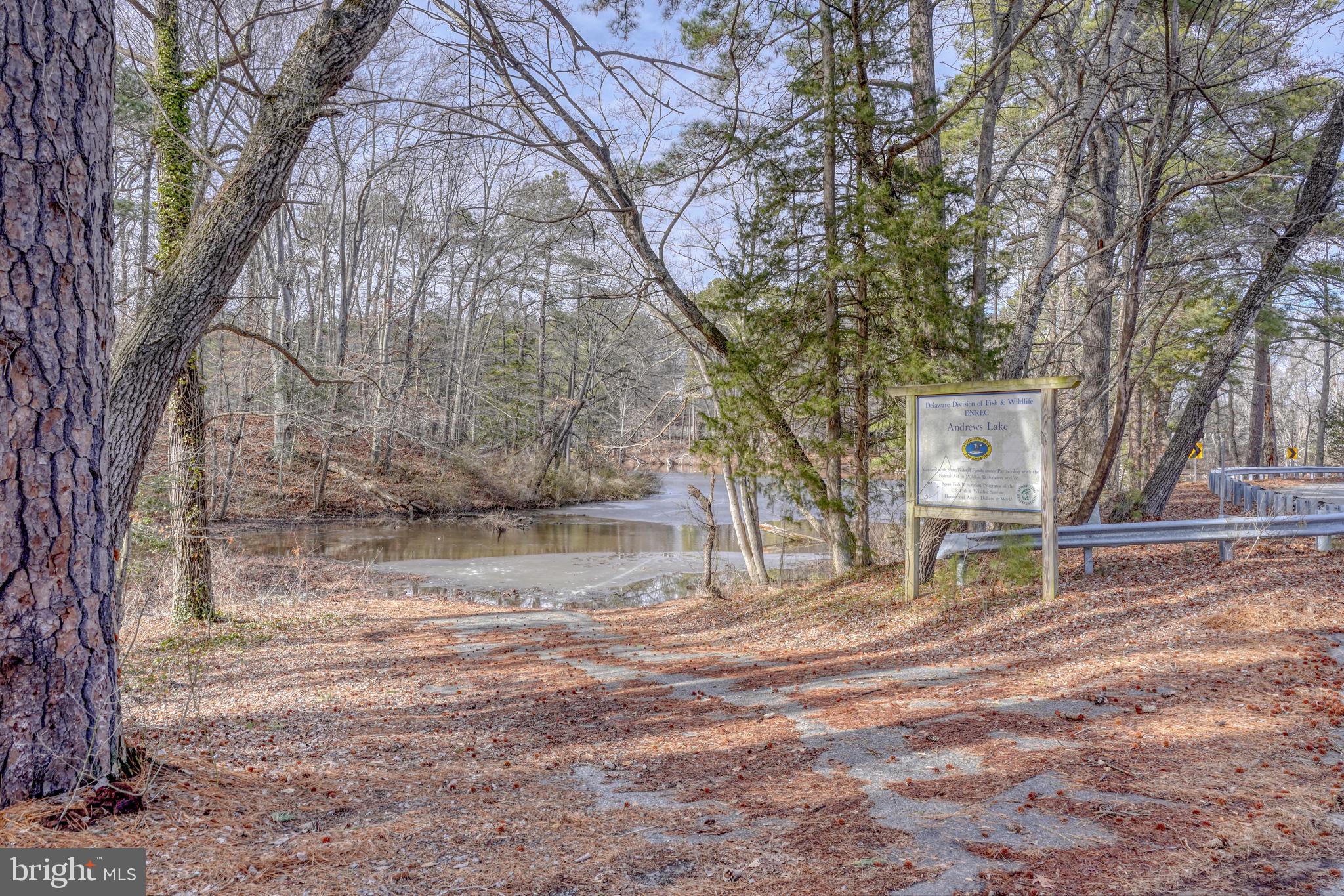 3250 Andrews Lake Road Felton, DE 19943 - Photo 42 of 45 a backyard of a house with table and chairs