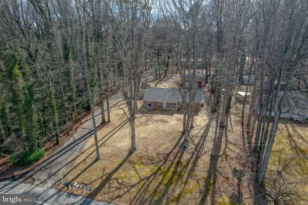 a view of a yard