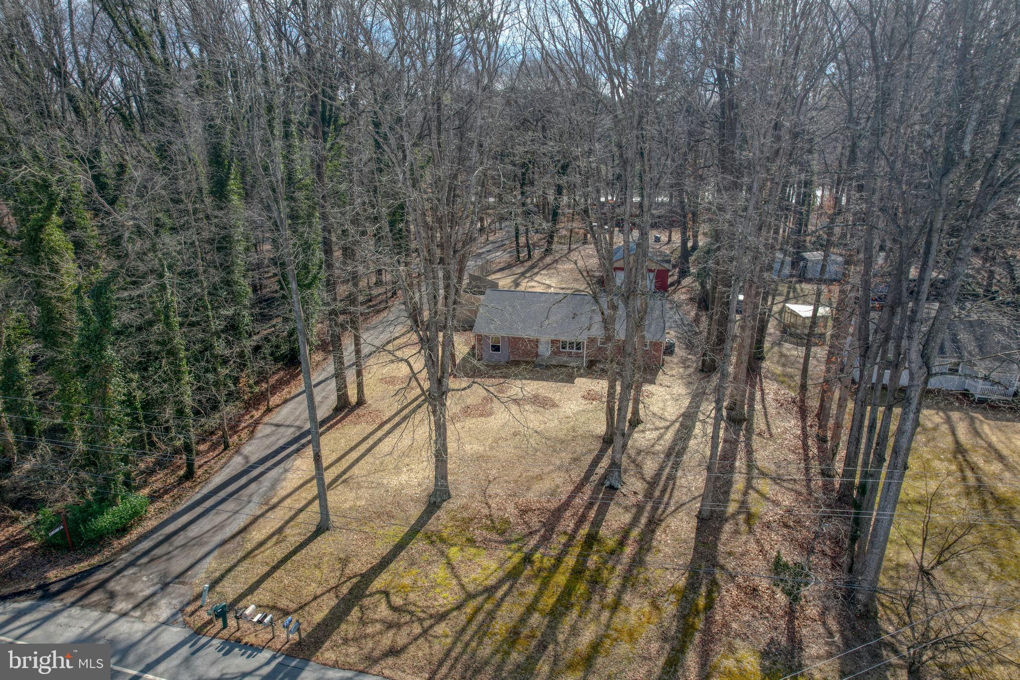 3250 Andrews Lake Road Felton, DE 19943 - Photo 5 of 45 a view of a yard