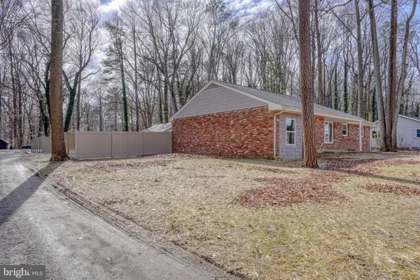 a view of a backyard with large trees