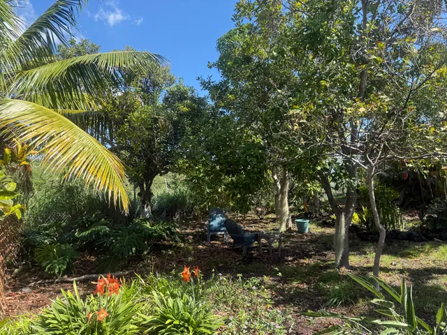 a view of outdoor space and yard