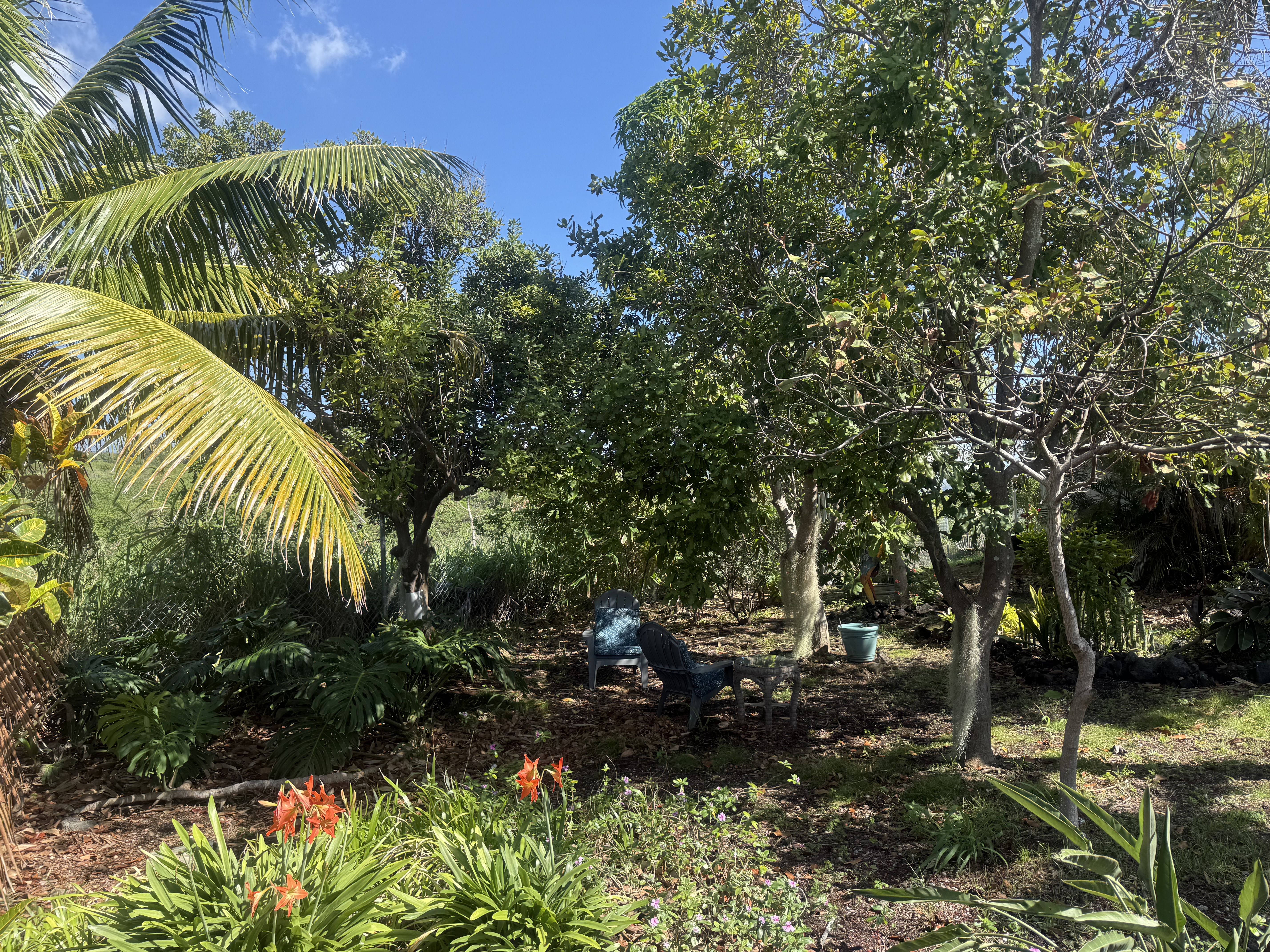 94-1726 Wakea Avenue Naalehu, HI 96772 - Photo 25 of 30