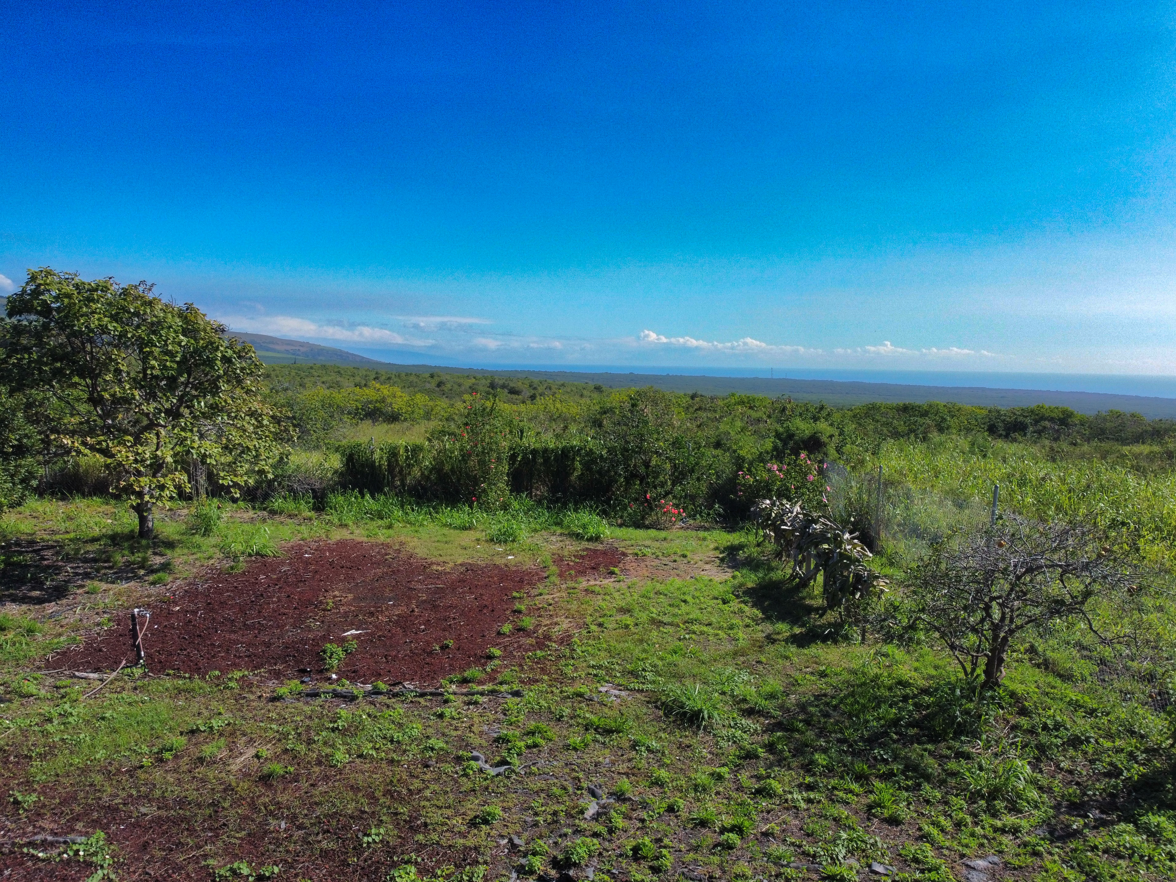 94-1726 Wakea Avenue Naalehu, HI 96772 - Photo 28 of 30 a view of outdoor space and yard