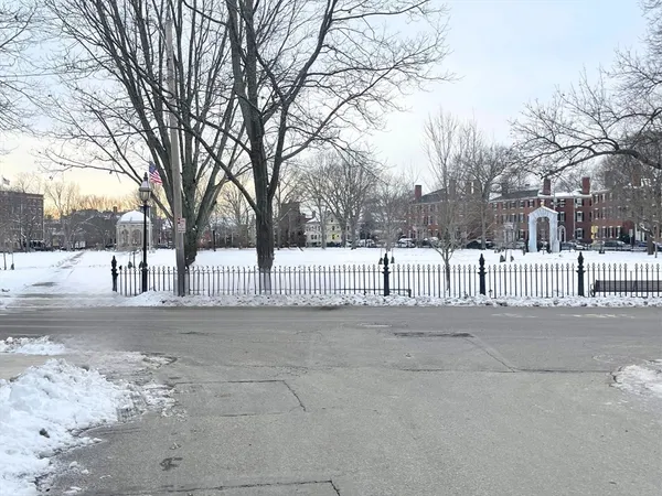 a view of road with trees