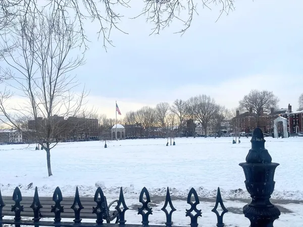 a view of swimming pool with a yard