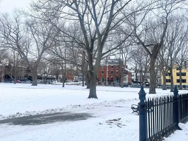 a street view covered with snow