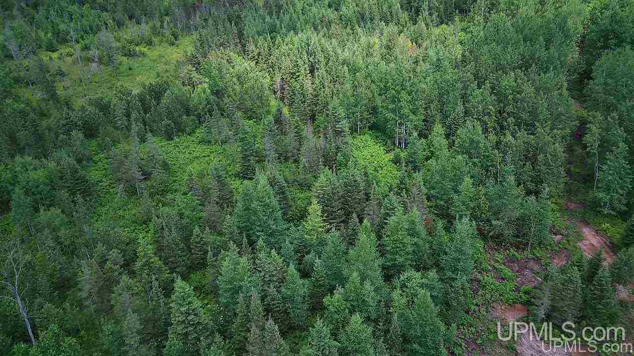 Tbd Off Nowack Road, Unit 1 Powers, MI 49874 - Photo 5 of 32