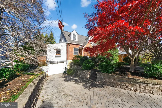 a picture of flowers