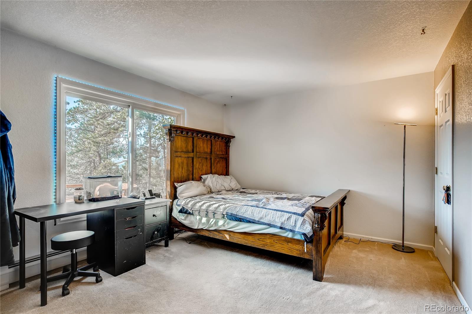 330 Holmes Gulch Road Bailey, CO 80421 - Photo 20 of 40 Gallery Image 20