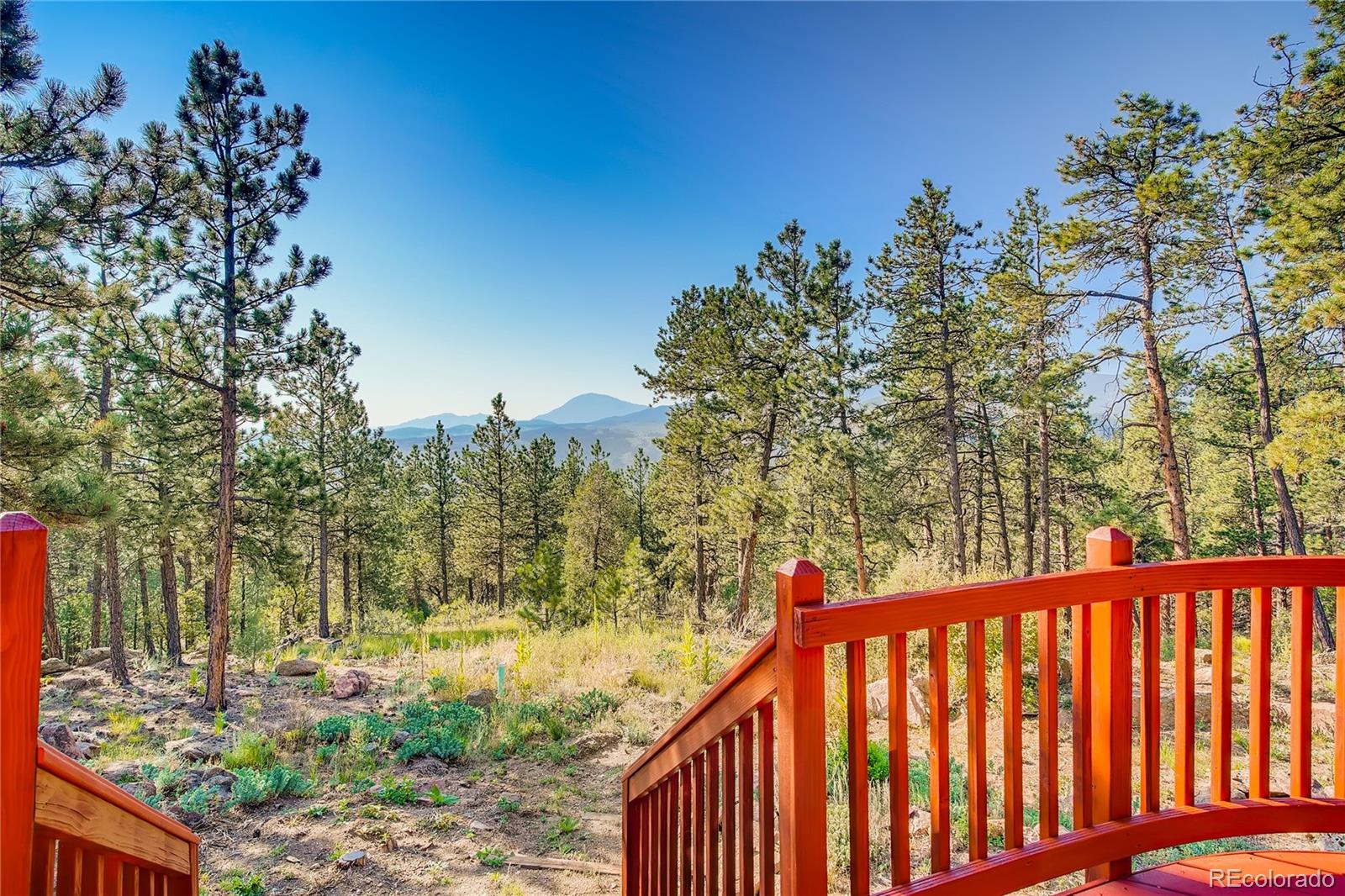 330 Holmes Gulch Road Bailey, CO 80421 - Photo 24 of 40 Gallery Image 24