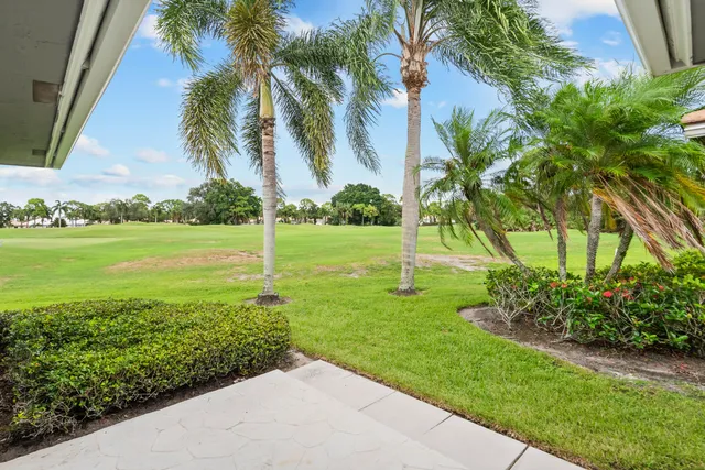 a view of a field with a tree in it
