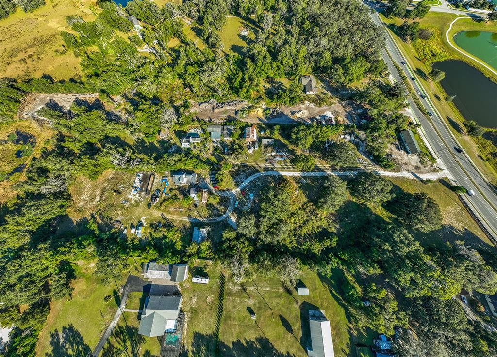 7717 Clarcona Ocoee Road Orlando, FL 32818 - Photo 58 of 63 a view of a yard with a tree