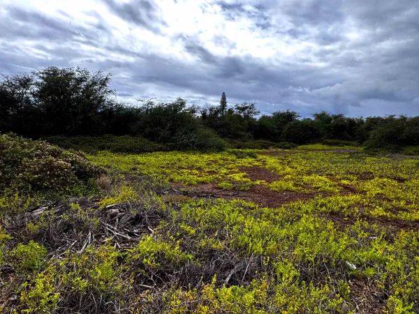 $130,000 | 118 Kamehameha V Highway, Unit LOT 377, Kaunakakai, HI 96748