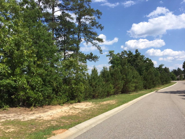 175 Bridge Crest Court Aiken, SC 29803 - Photo 2 of 2
