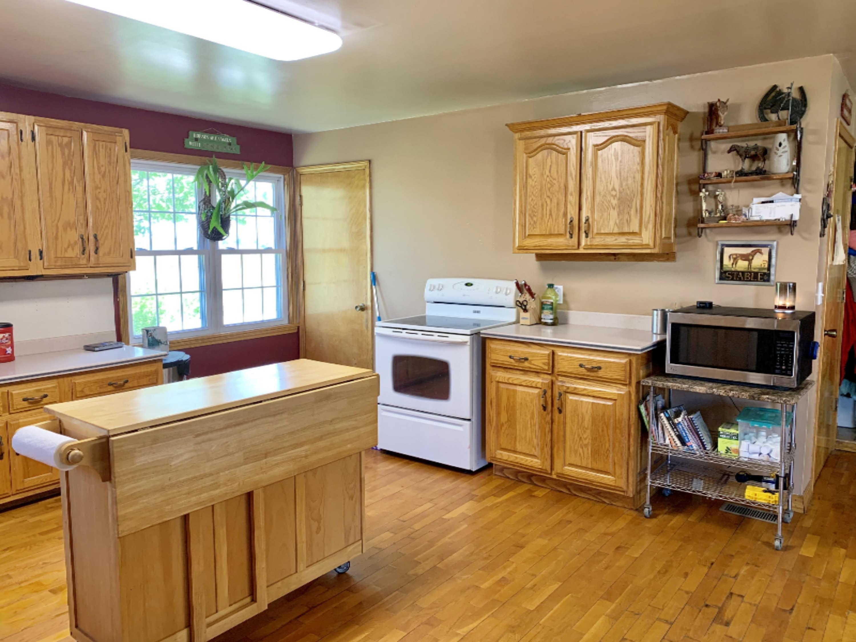 810 Slisher Road Bronson, MI 49028 - Photo 12 of 87 IMG_E7615