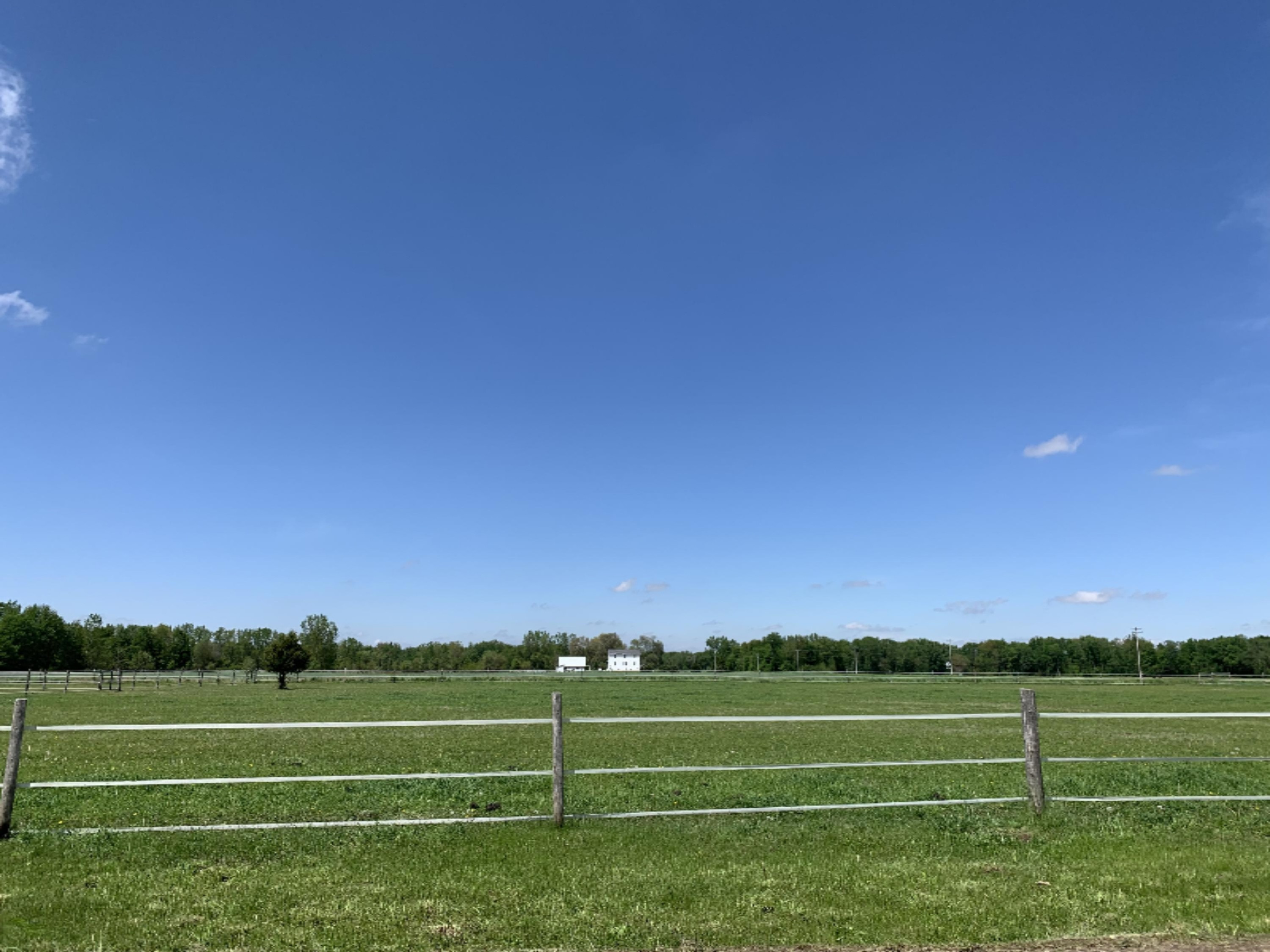810 Slisher Road Bronson, MI 49028 - Photo 84 of 87 IMG_7712