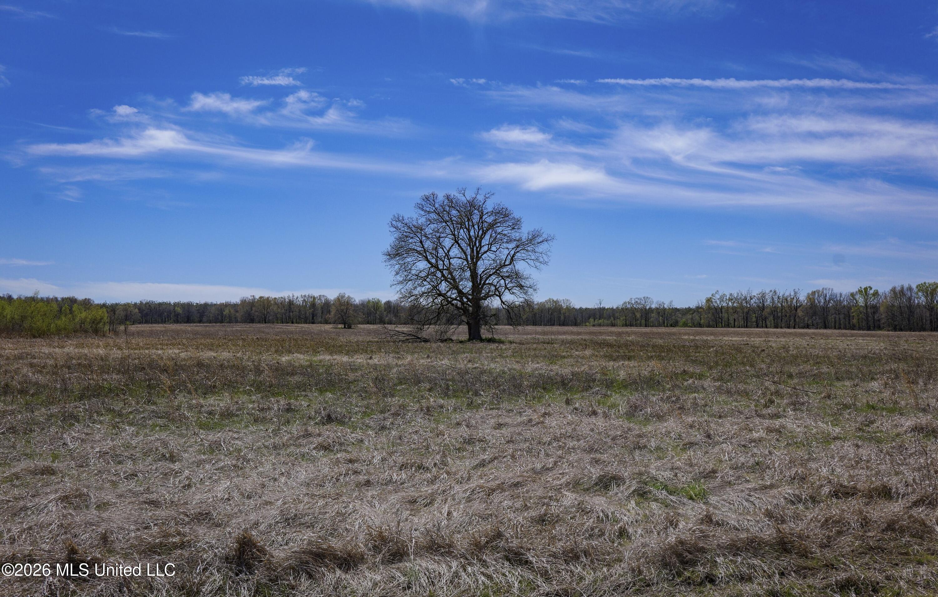 Wise Bend Road Thaxton, MS 38871 - Photo 11 of 22 4