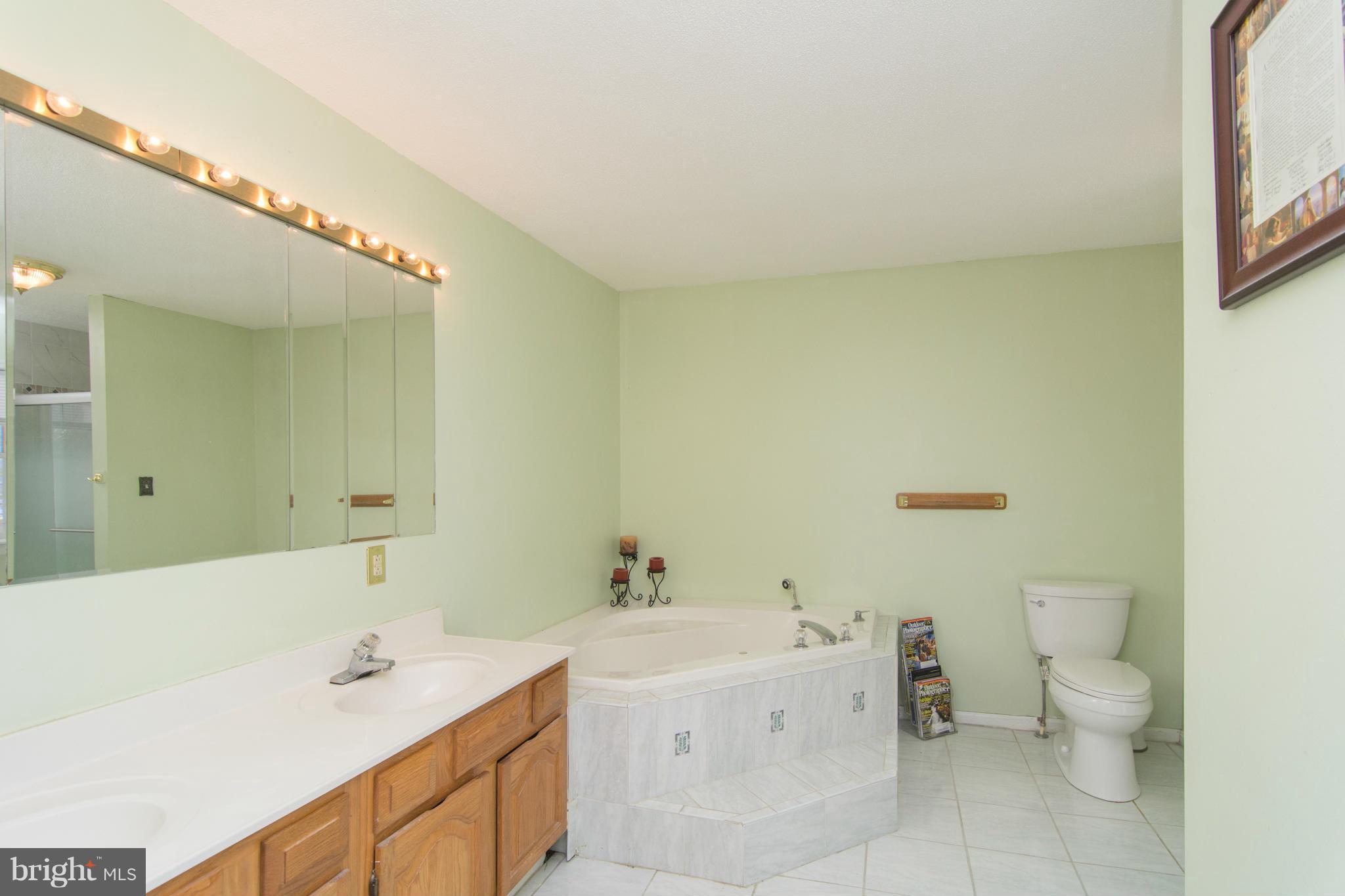 8505 New Cut Road Severn, MD 21144 - Photo 8 of 30 Bath (Master)