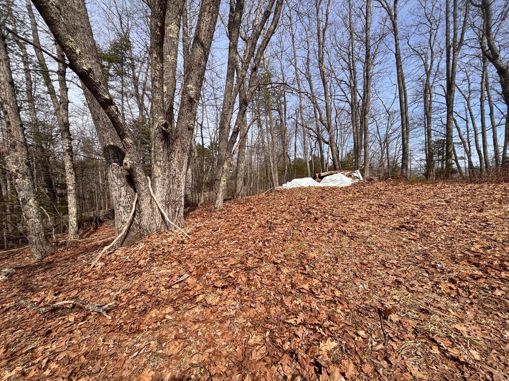 1444 South Clary Road Jefferson, ME 04348 - Photo 3 of 13 outside