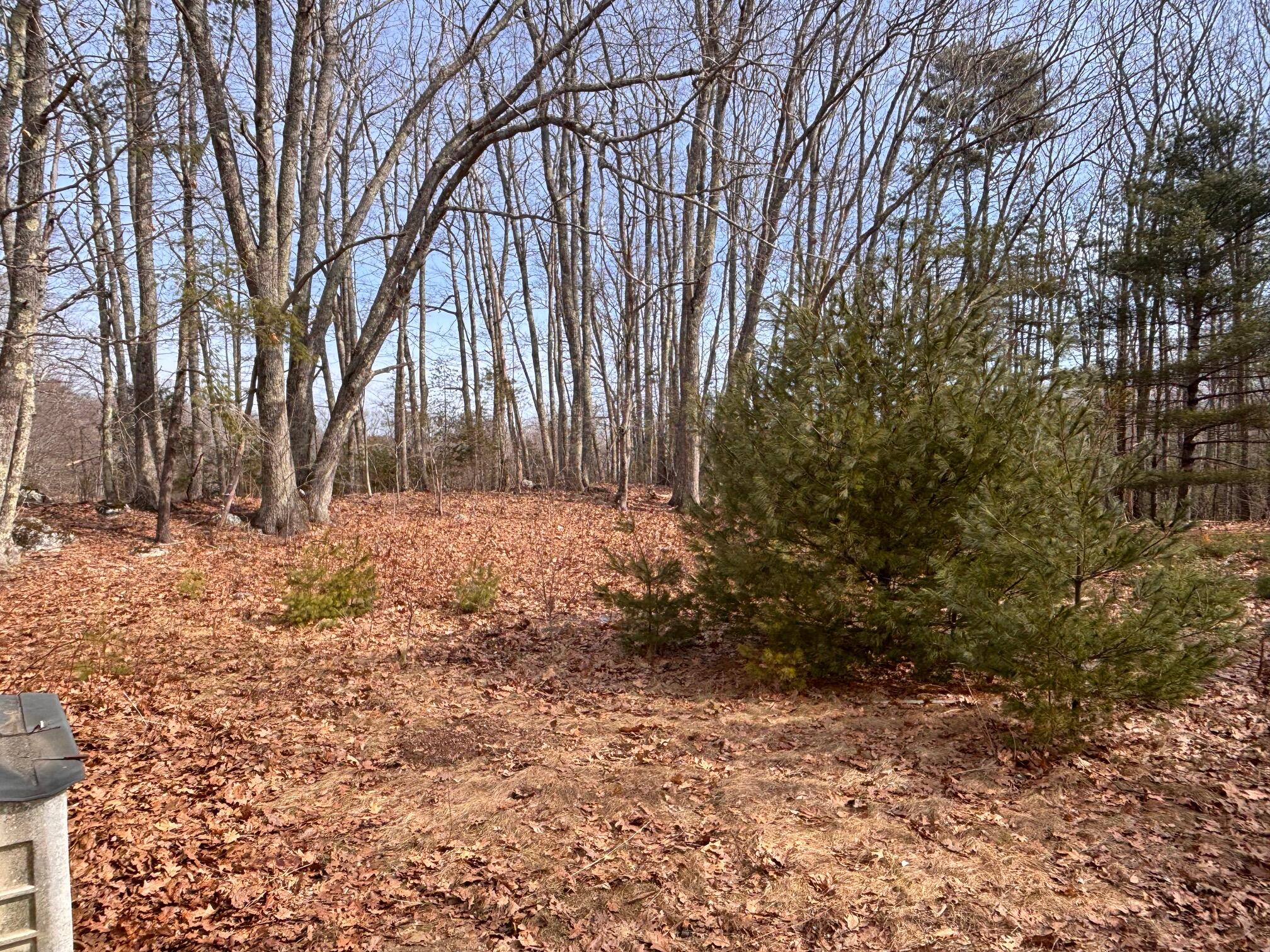 1444 South Clary Road Jefferson, ME 04348 - Photo 4 of 13 backyard