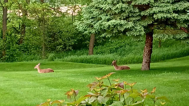 $699,900 | 4700 Hazy Lane, Highland, WI 53543