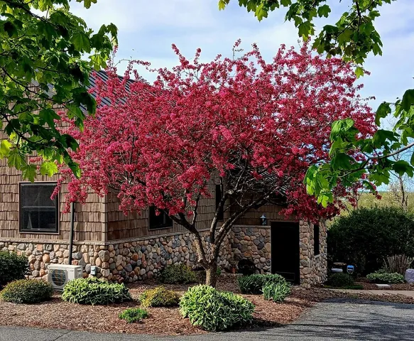 $699,900 | 4700 Hazy Lane, Highland, WI 53543