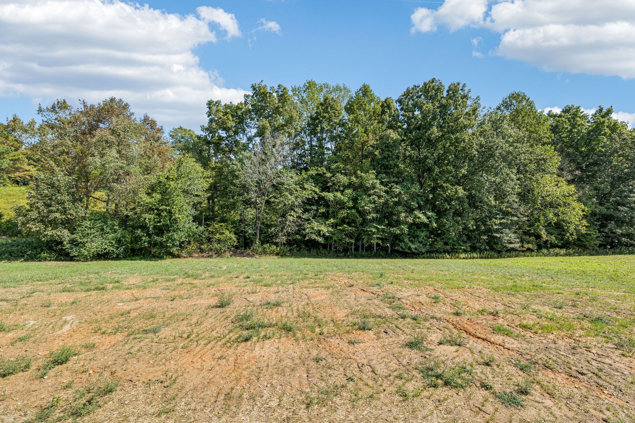 233 Ralph Spivey Lane Gainesboro, TN 38562 - Photo 37 of 45 a view of a yard with a trees