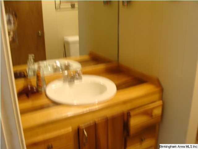 1044 Story Road Woodstock, AL 35188 - Photo 24 of 32
